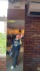testimonial-img
